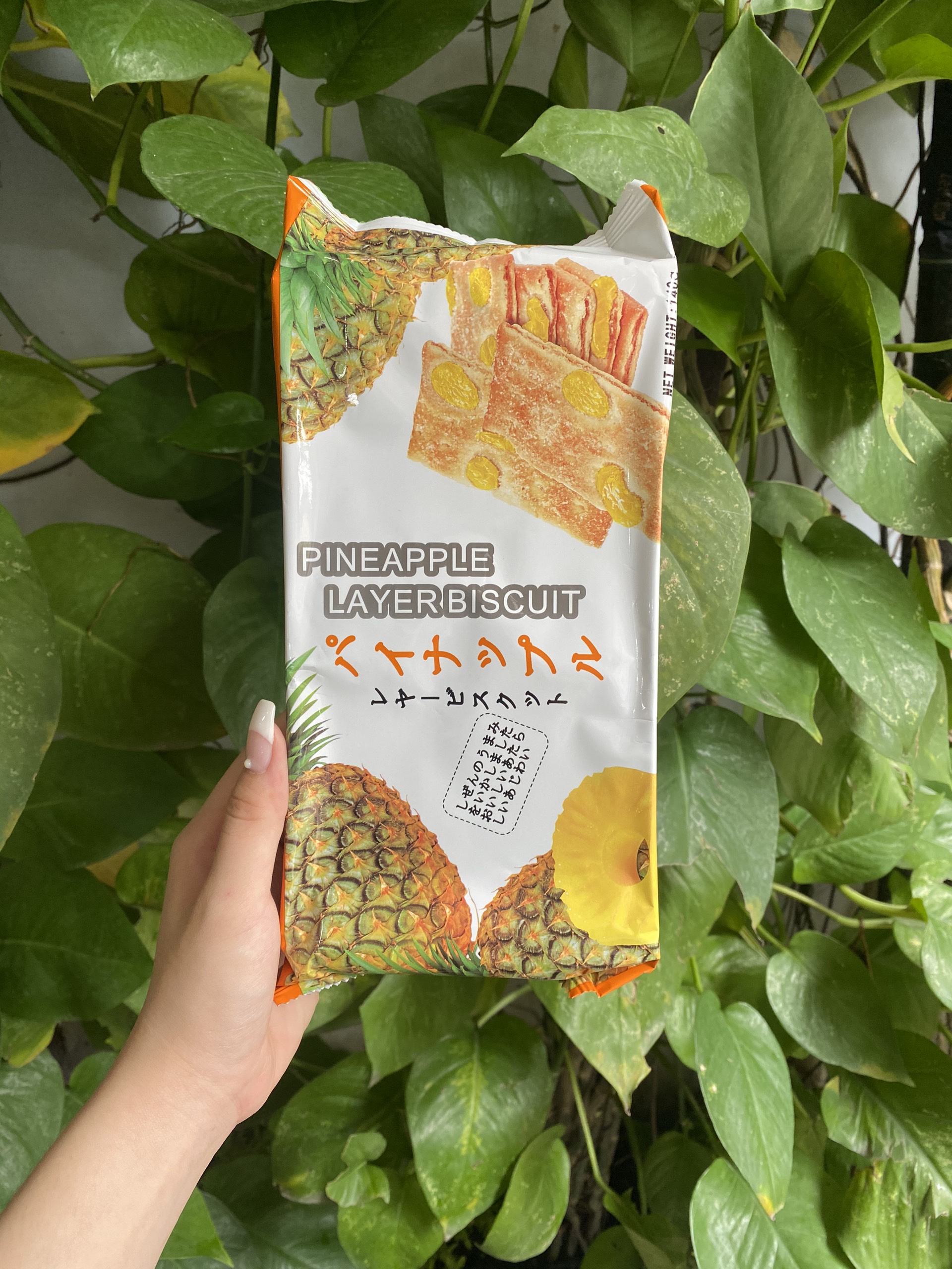Bánh Quy Nhật Vị Thơm Pineapple Layer Biscuit (Gói 140g)