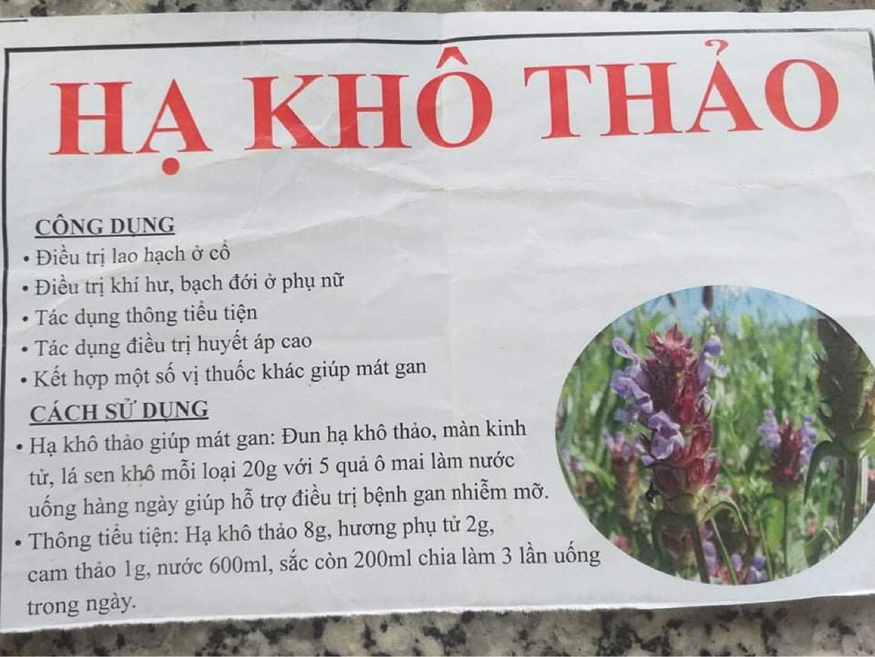 Hạt giống cây hạ khô thảo