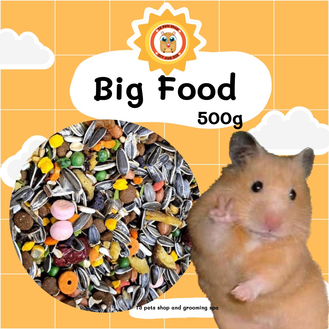 thức ăn ngũ cốc hạt (Normal, Yummy, Big) dành cho mọi loại hamster - T3 PETS SHOP