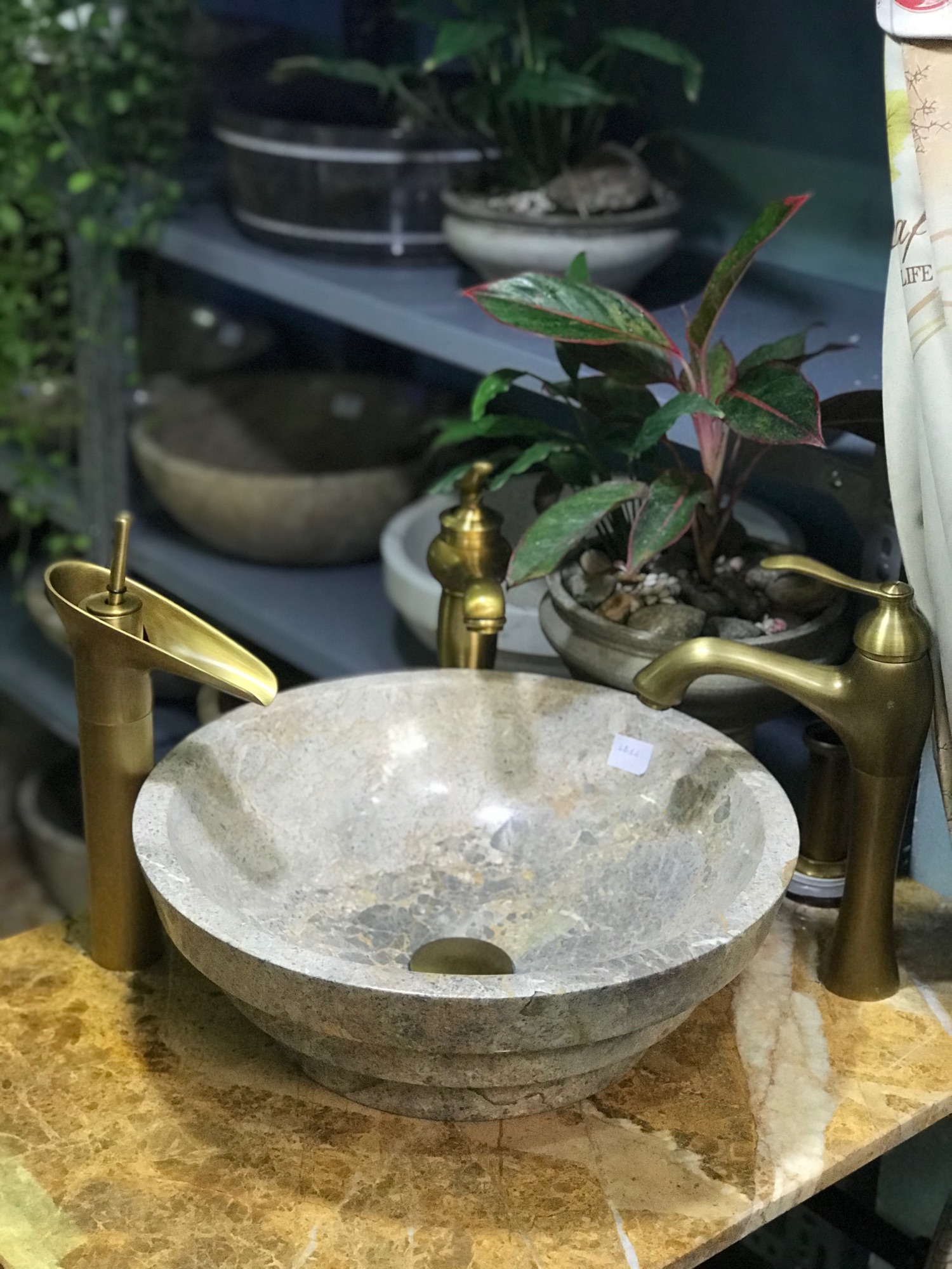 Chậu đá cụi
