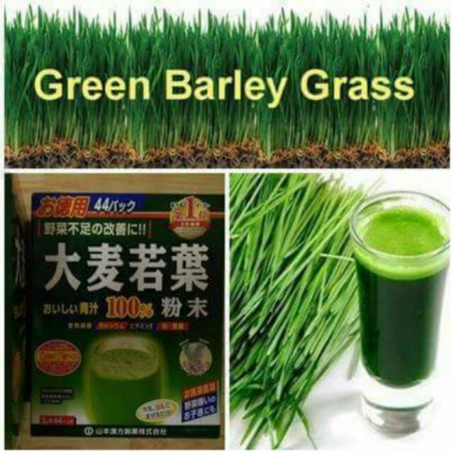BỘT MẦM LÚA MẠCH BARLEY CHỐNG LÃO HÓA, GIẢM CHOLESTEROL, PHÒNG UNG THƯ ( 3G X 176 GÓI)