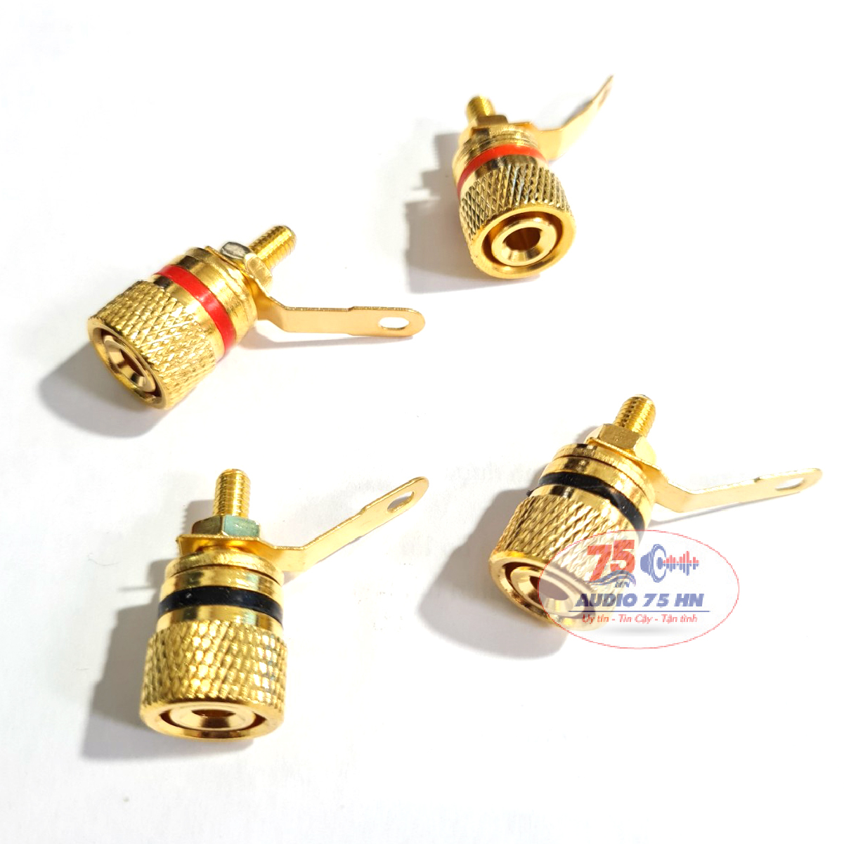 01 cặp Jack cọc loa bằng đồng mạ vàng cao cấp