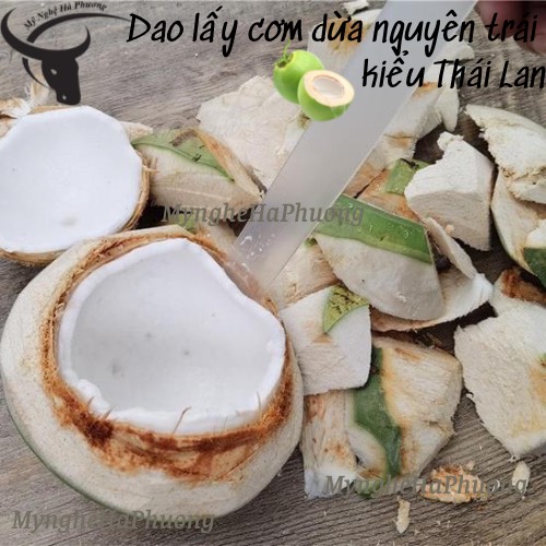 [Loại 1] Dao lấy cơm dừa nguyên trái kiểu Thái Lan