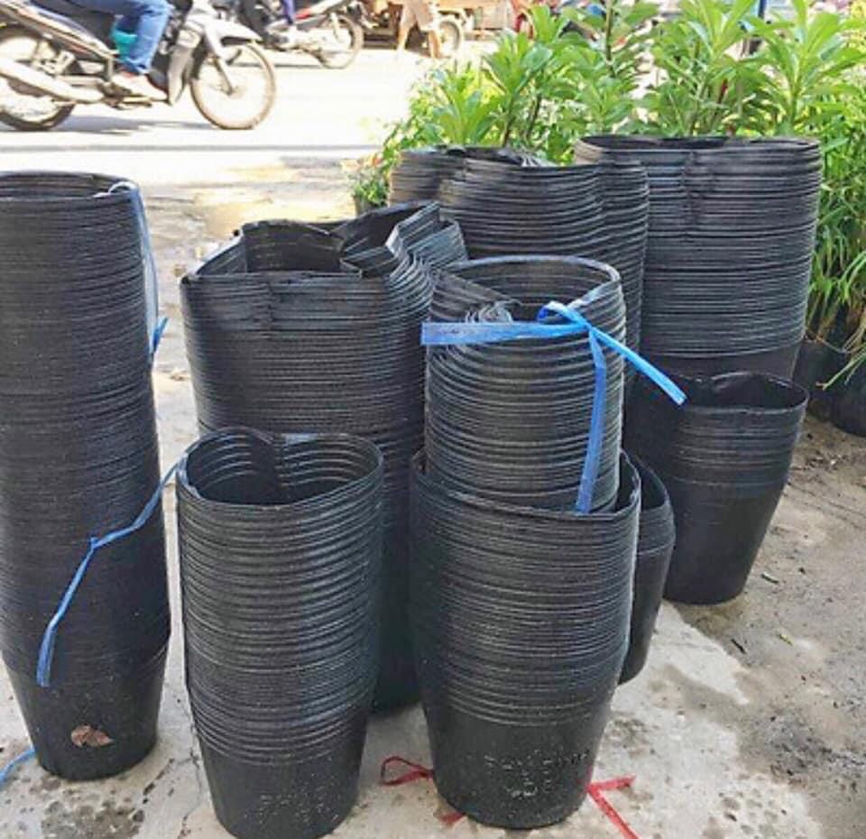1 kg Túi ươm/Bầu ươm cây 10x10