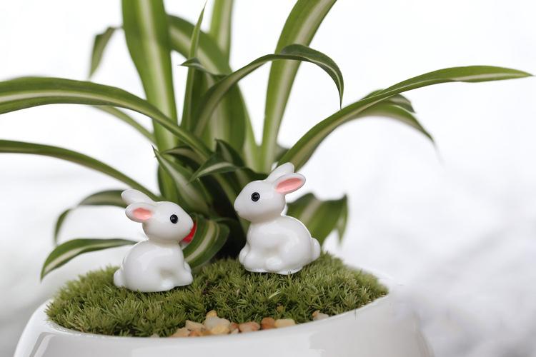 Phụ Kiện Tiểu Cảnh -Thỏ trắng, giá của (Combo: 4 con) (TH43-4).