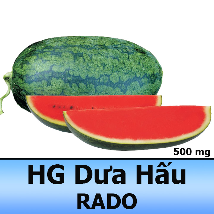 Hạt Giống Dưa Hấu Sai Trái