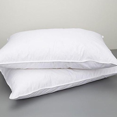 [EVERON] Ruột Gối Đầu Trẻ Em 35*50