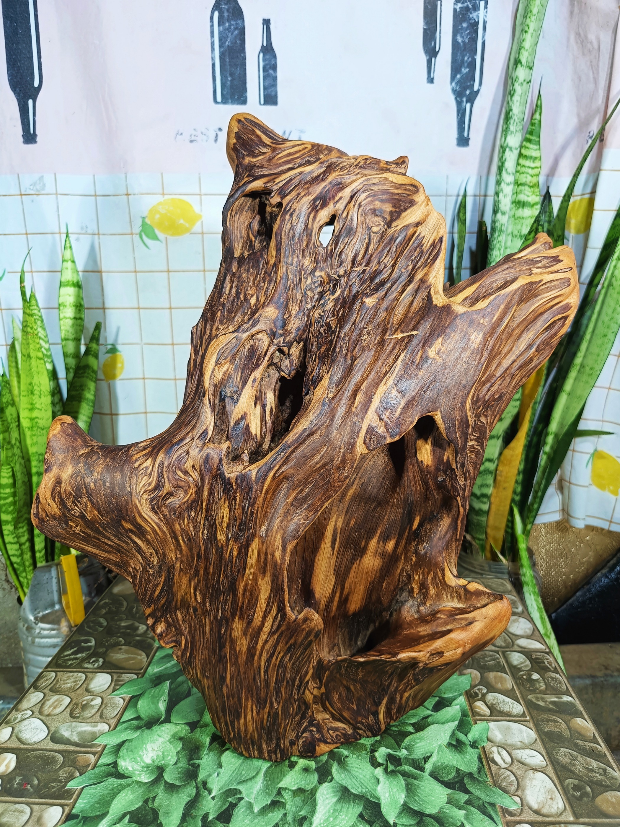 lũa gỗ thơm ngọc am đỏ hà giang