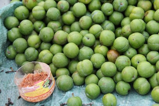 Mận Xanh Tây Bắc đầu mùa