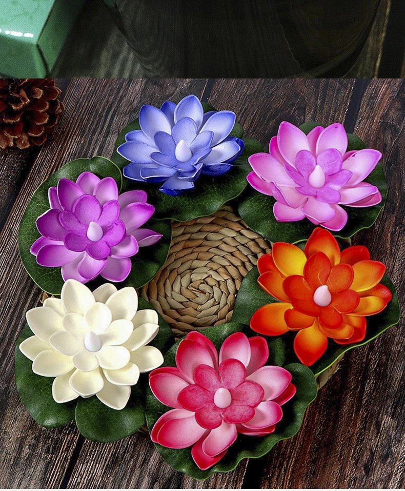Hoa sen thả hoa đăng