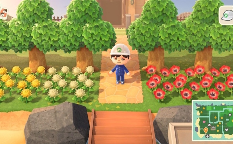 Thẻ game Nintendo Switch: Animal Crossing hệ US