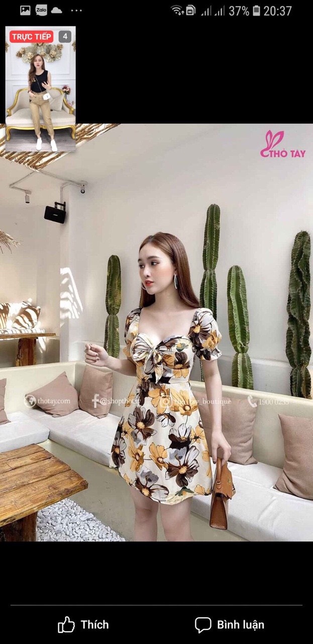 Đầm suông nữ, đầm suông xếp ly cột nơ ( có mút ngực )