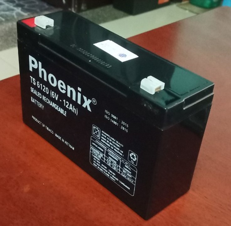 Ắc quy lưu điện Phoenix 6V - 12Ah TS6120