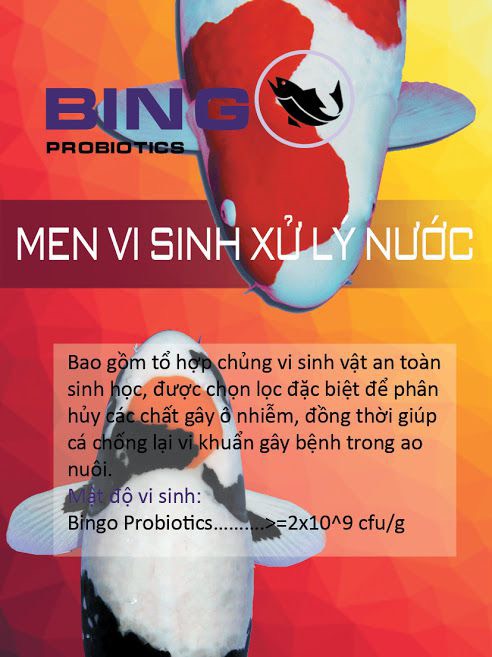 [HCM]Men vi sinh xử lý nước Bingo - túi 100gr
