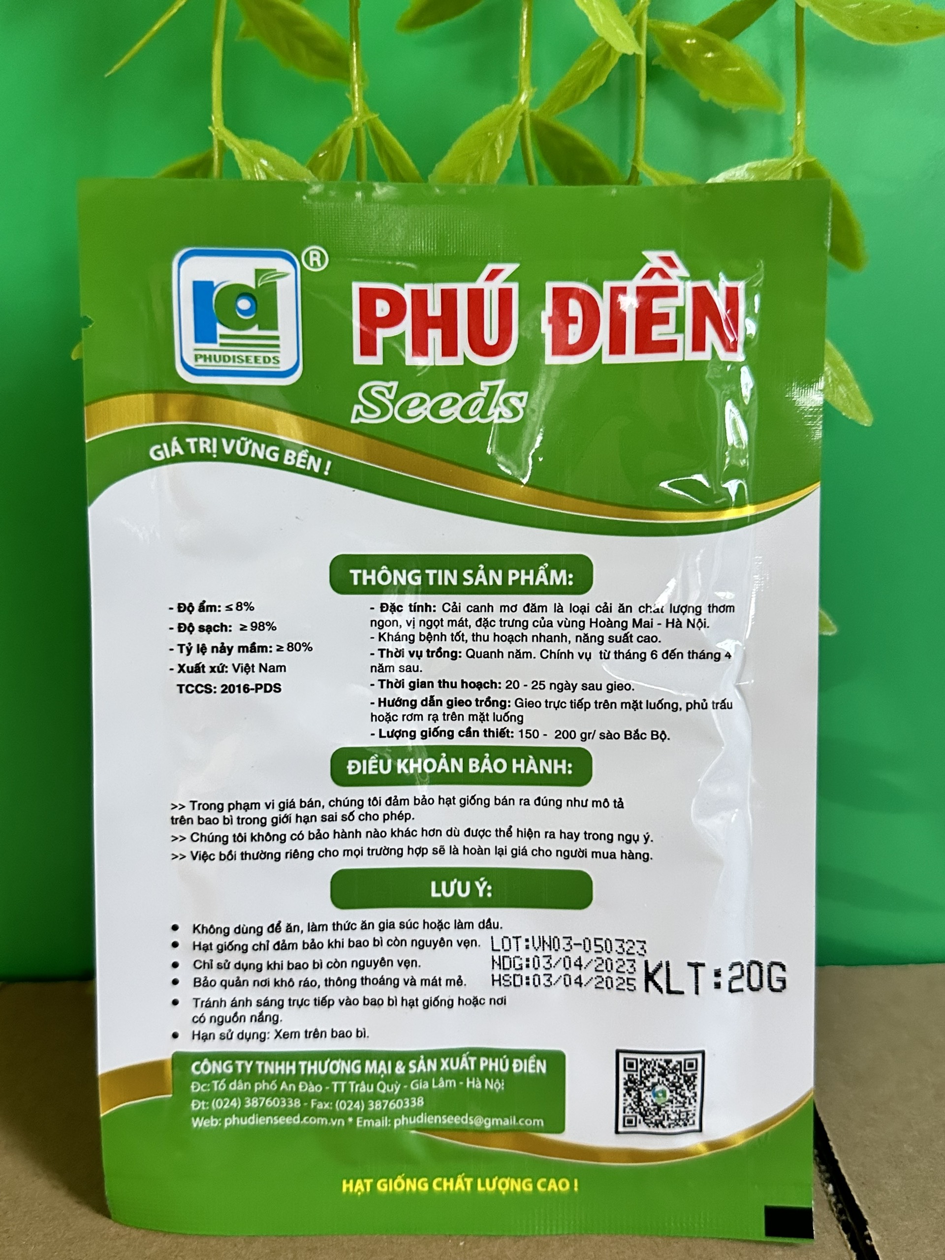 Hạt giống rau cải mơ lùn Hà Nội ( cải mơ Đăm)
