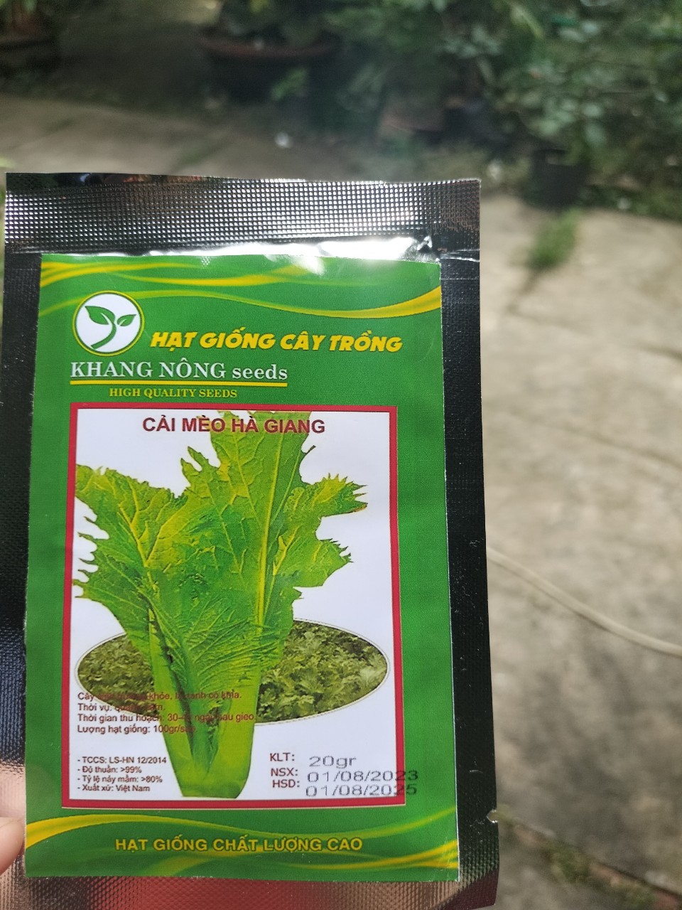 Hạt giống cải mèo Hà Giang