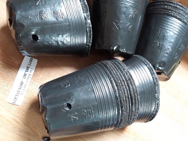1kg bầu ươm cây size 16x14 / 210 cái