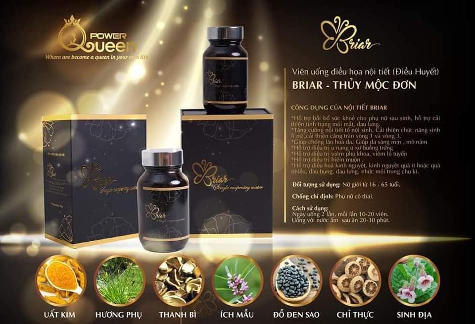 Thủy Mộc Đơn - Điều Huyết Briar