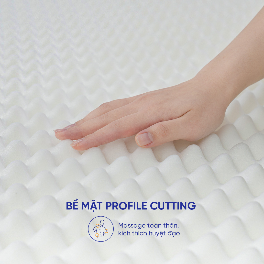 [HÀNG ĐẶT TRƯỚC] Nệm foam giảm áp lực Goodnight Hachi