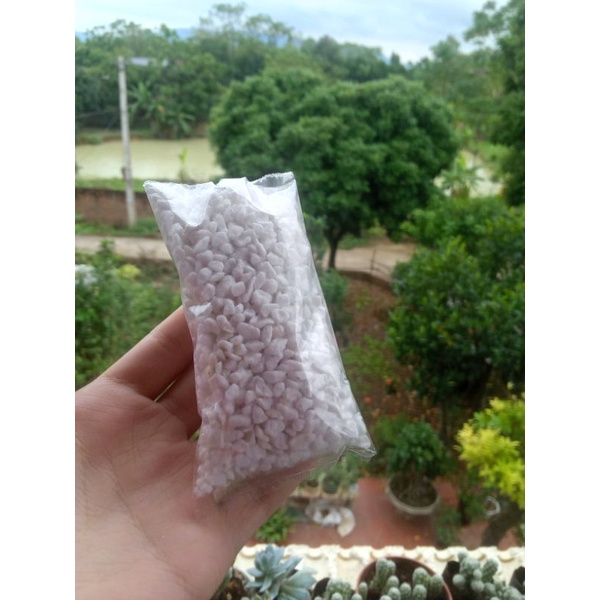 đá perlite trồng cây