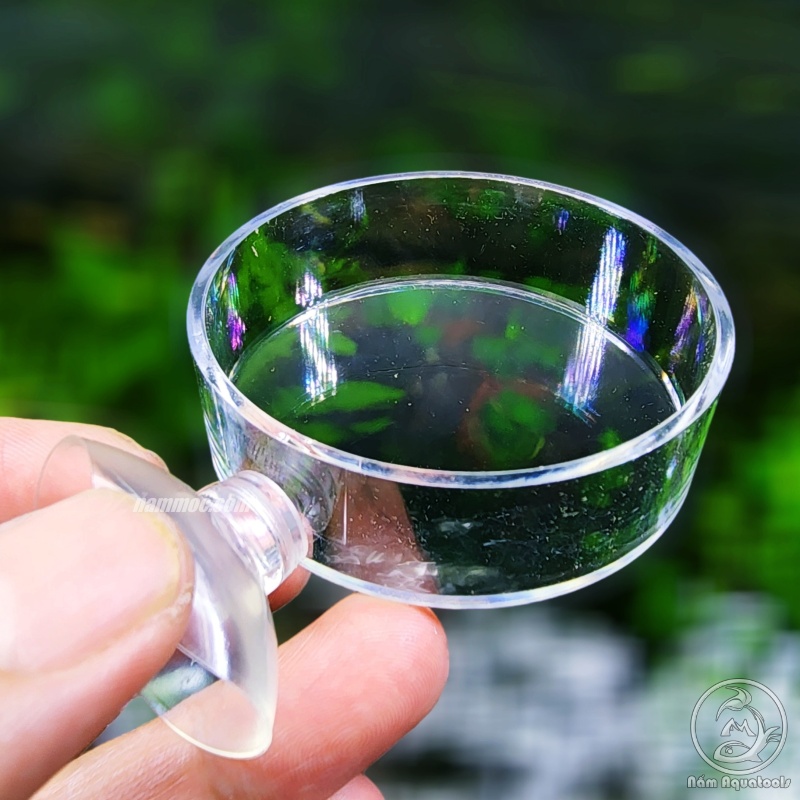 Chén Tép Acrylic - Chén Đựng Thức Ăn Cá Tép Cảnh