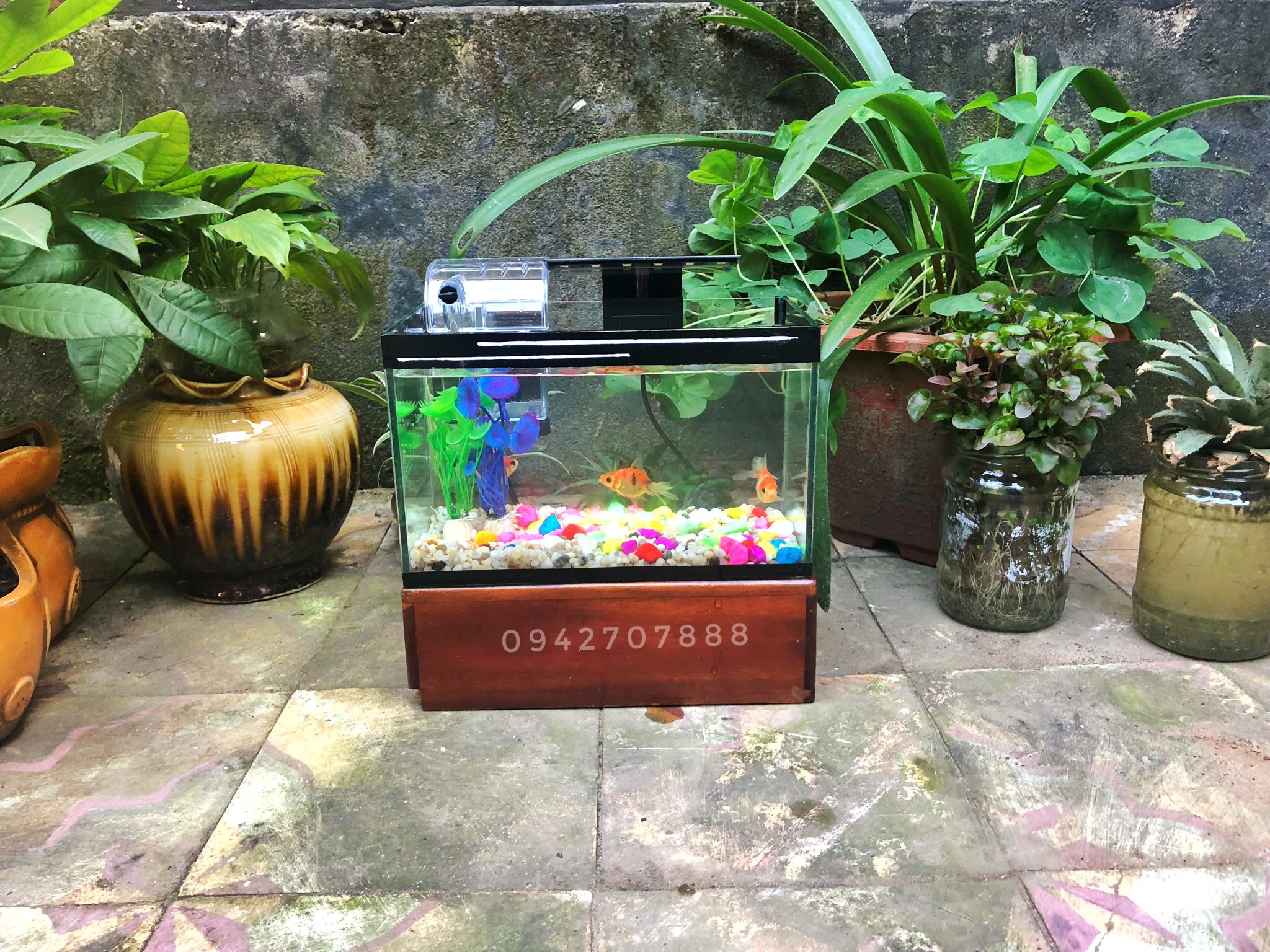 Bể cá cảnh 25x13x15cm có sẵn lọc và đèn