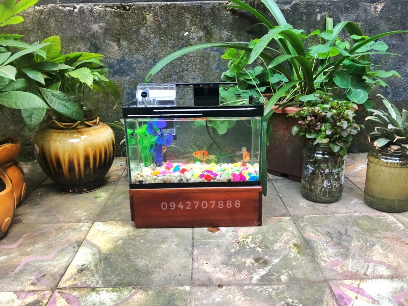 Bể cá mini + lọc ( 25x13x15cm-Bể cá trang trí nhà cửa có viền gương siêu đẹp)