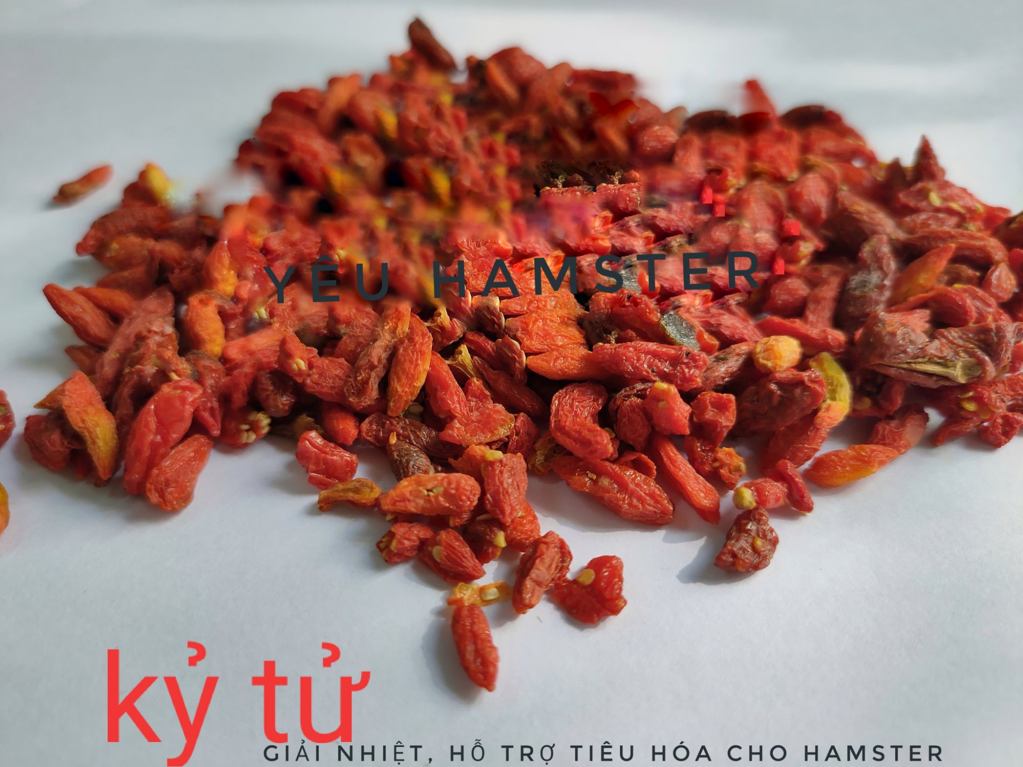 Kỷ tử-Thức ăn dặm cho Hamster,thú cưng (50GR)