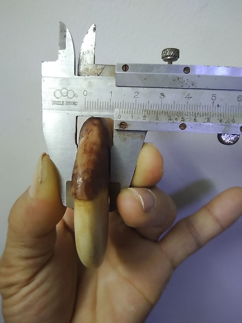 [HCM]MÓNG MỸ NGHỆ 6.8CM GIẢ XƯA ĐẸP. LOAI ĐẶC