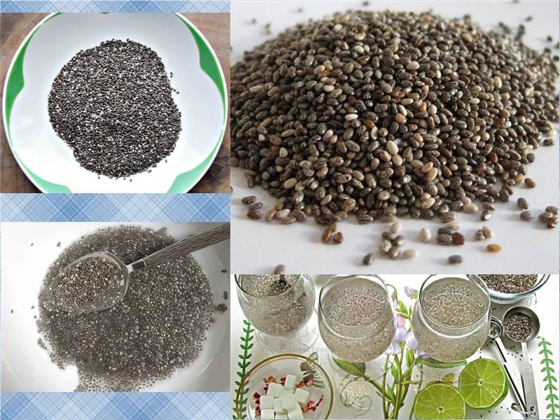 Hạt Chia Úc Absolute Organic Chia Seeds 1kg