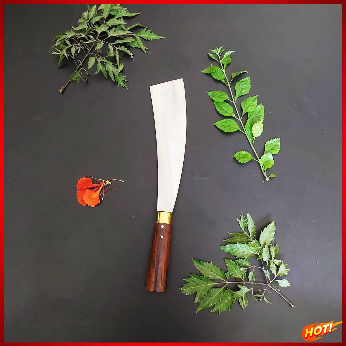 Dao thái sashimi không rỉ thép trắng nhật bản chuyên thái đa năng
