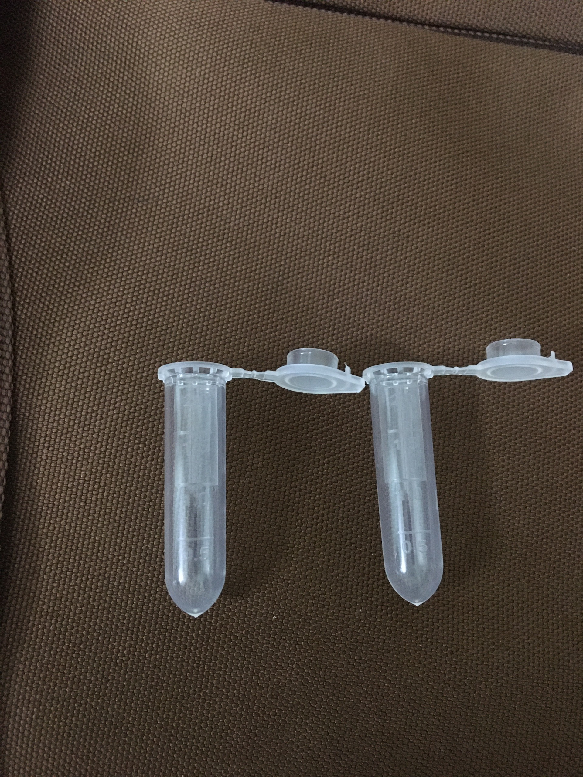 Eppendorf ống ly tâm 2 ml túi/1000 cái