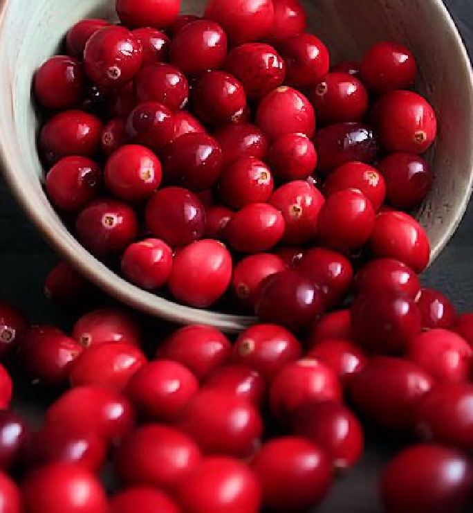 Hạt giống cây ăn trái việt quất đỏ ( gói 30 hạt )
