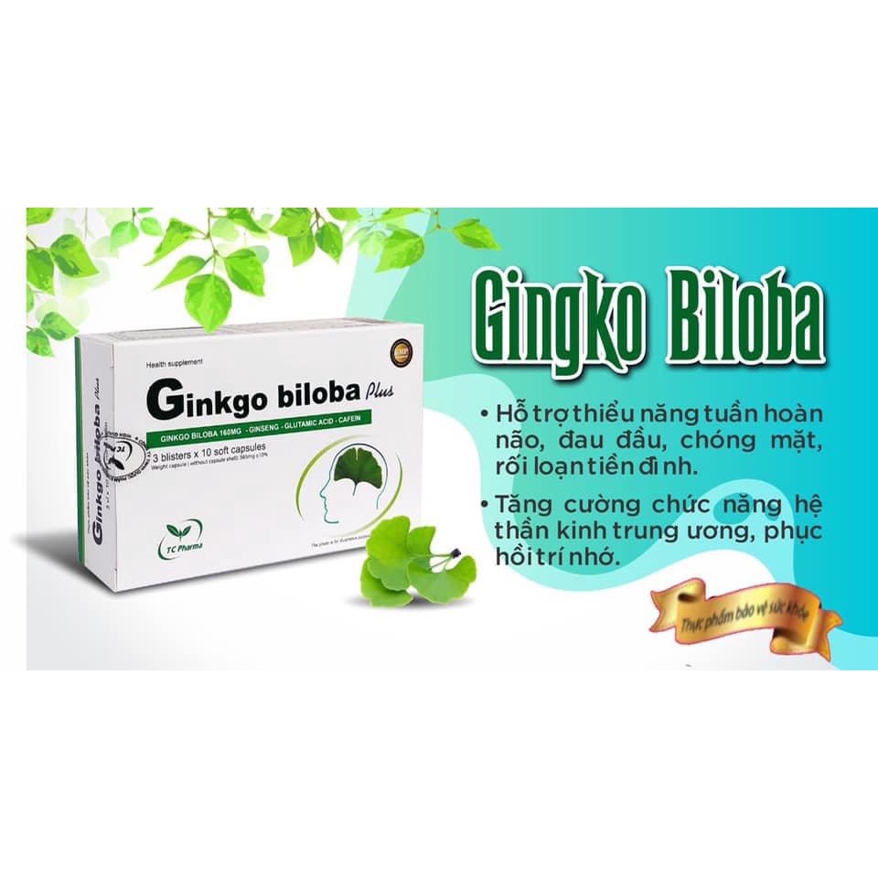 GINKGO BILOBA 120 (Hộp 10 vỉ x 10 viên)
