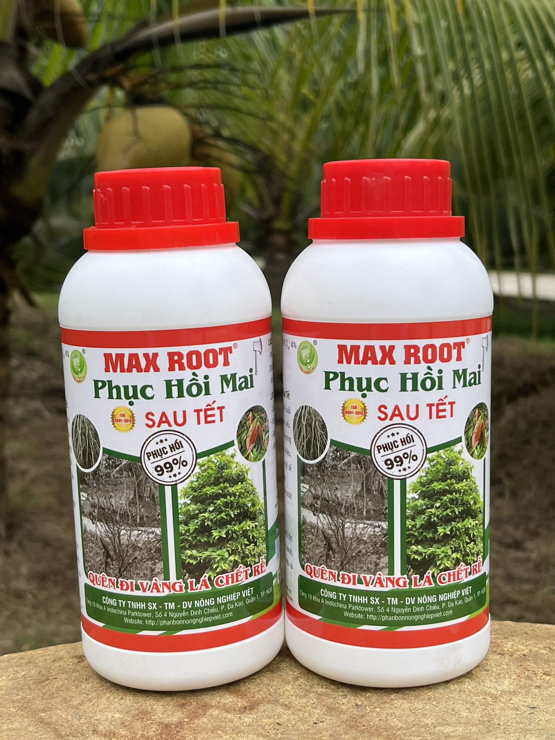 Max root _ phục hồi mai sau tết chai 500ml