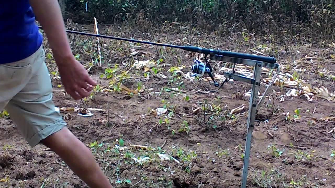 Can Giật tự động
