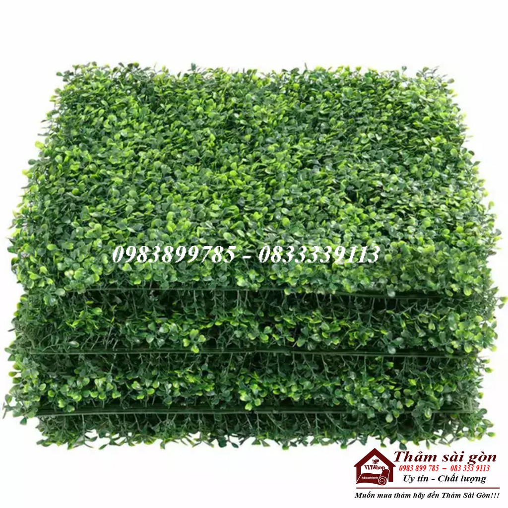 CỎ CẢI XOONG TREO TƯỜNG