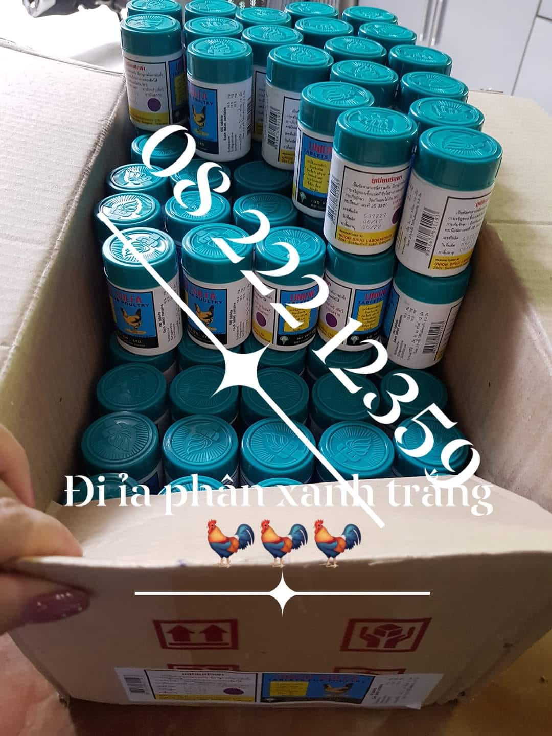 Phân xanh phân trắng cho gà