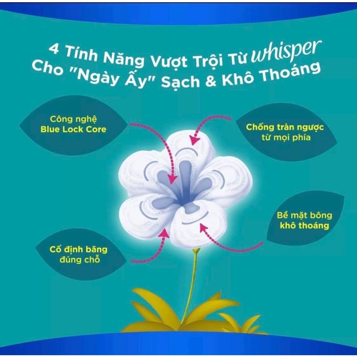 Băng vệ sinh Whisper cánh thường 10 miếng