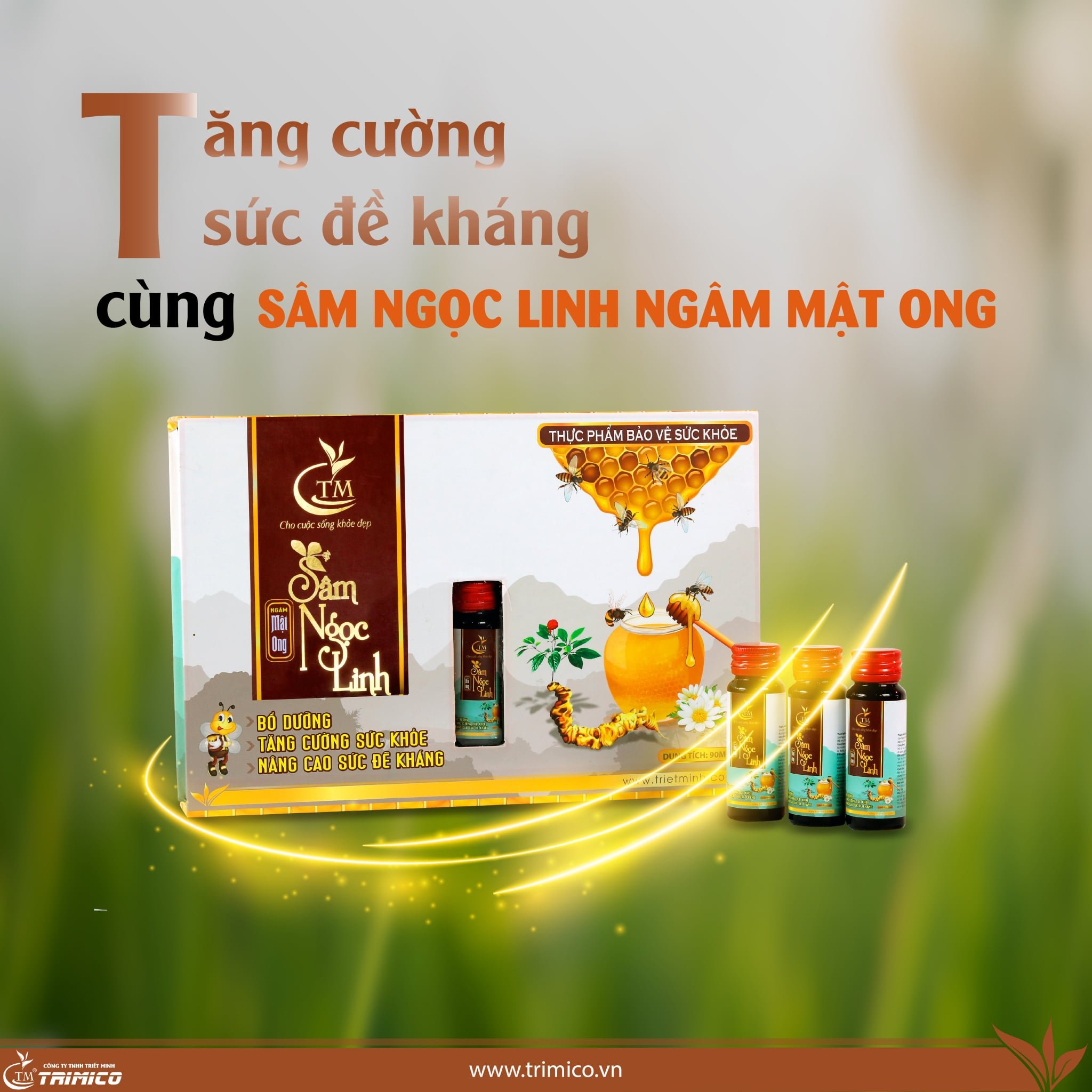 Sâm Ngọc Linh Ngâm Mật Ong Triết Minh  30ml -500ml