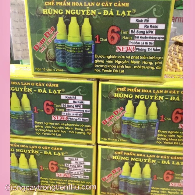 CHẾ PHẨM HOA LAN VÀ CÂY CẢNH HÙNG NGUYỄN