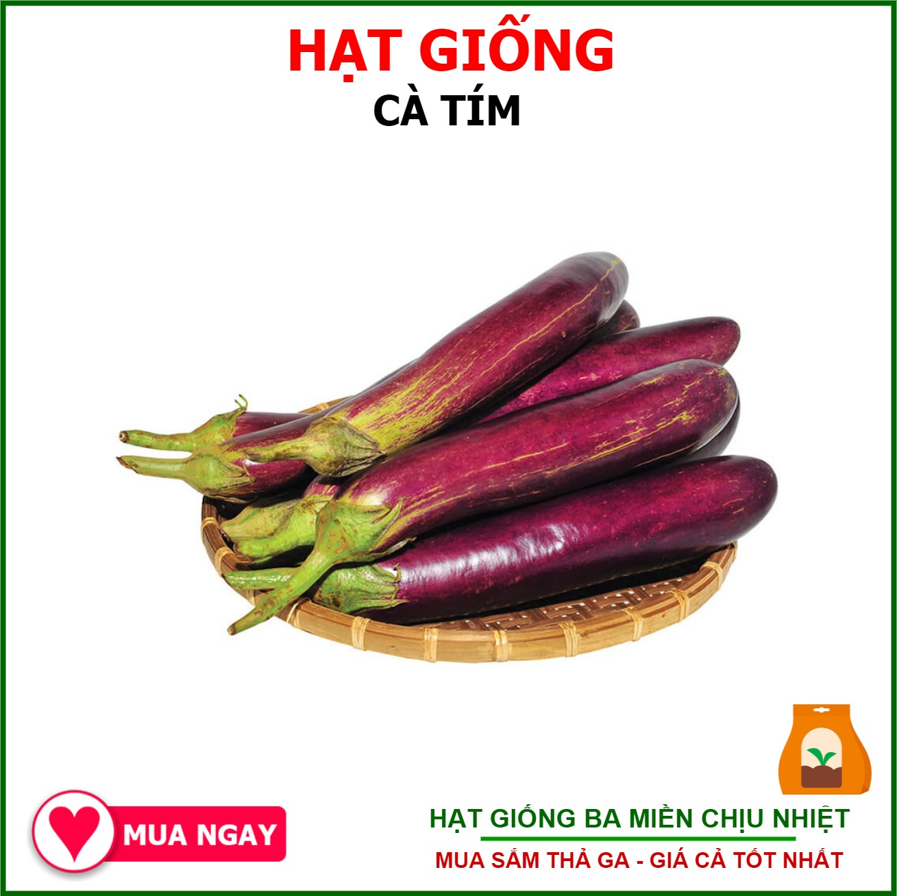 HẠT GIỐNG CÀ TÍM Trang Nông 1gram
