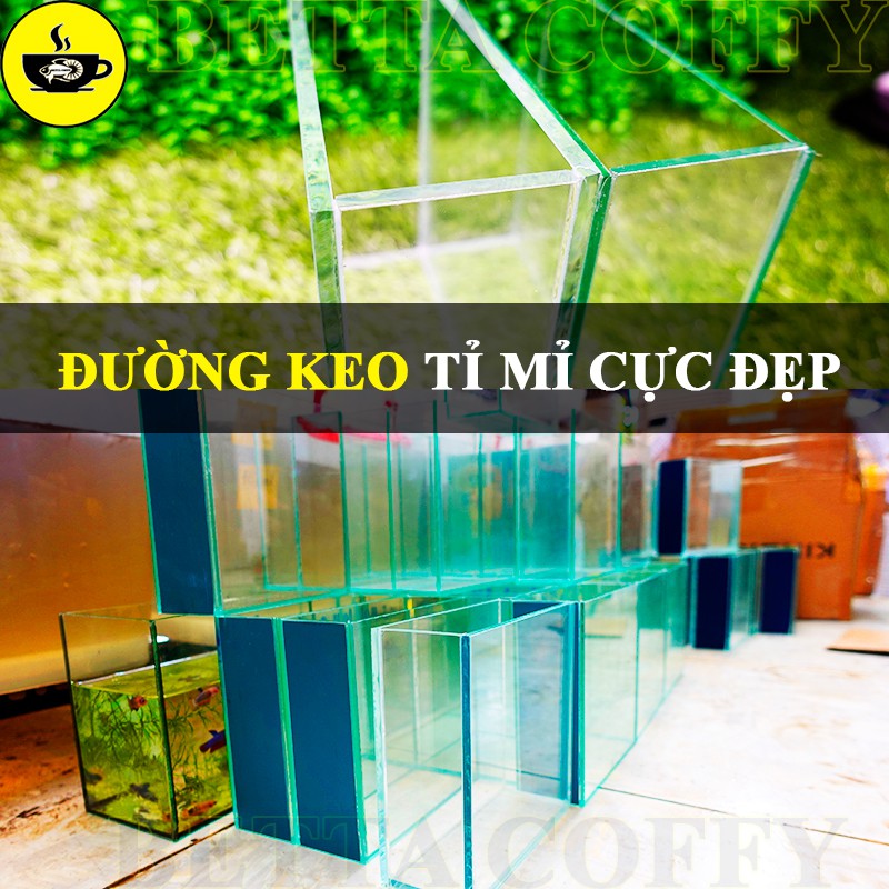 Bể Cá bằng kính mini - Hồ cá Betta (Dấu keo - Keo Đen Trắng)