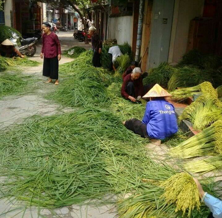Cốm Hà Nội 1kg