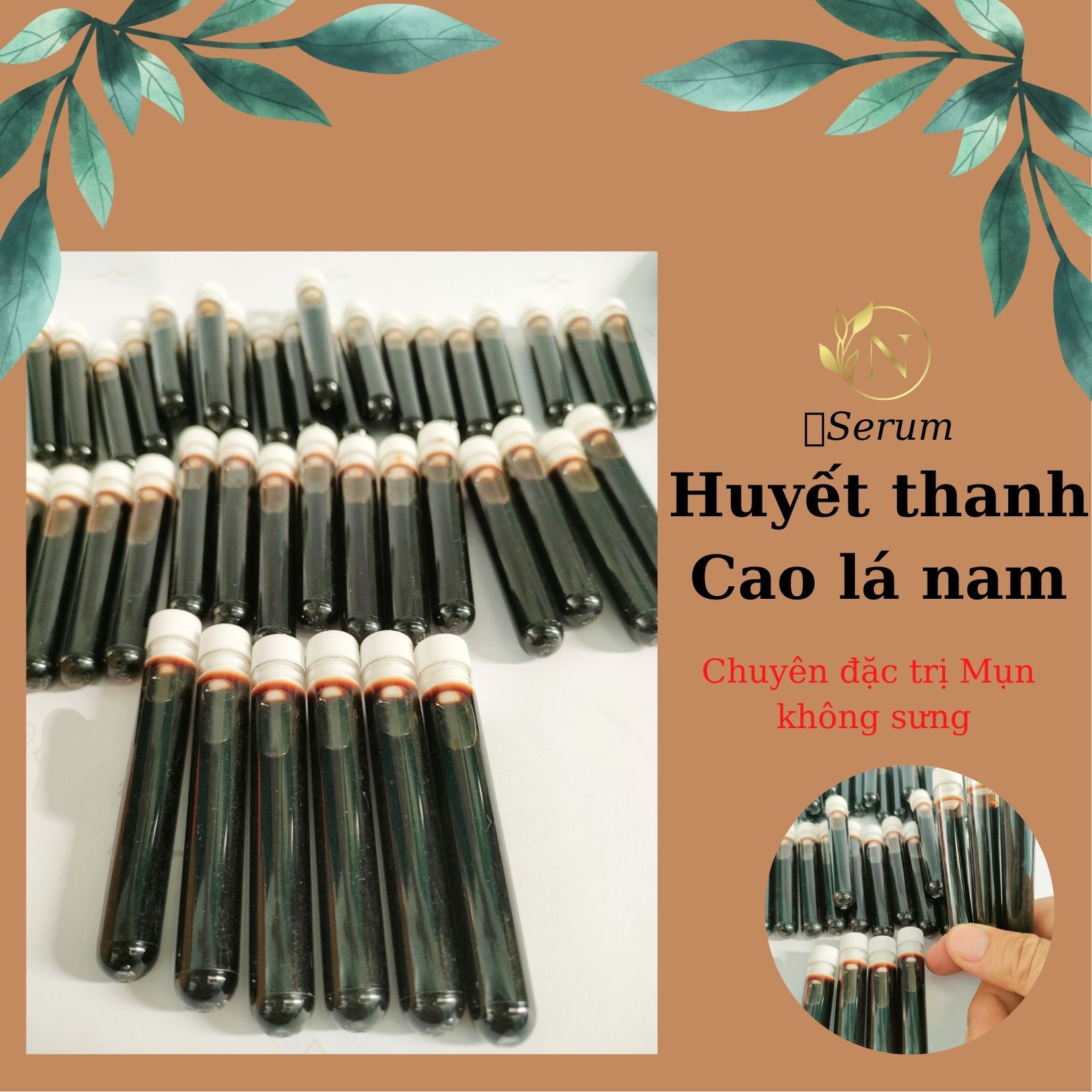 Sỉ Huyết thanh cao lá nam đặc trj mụn, nám, tàn nhang, mụn dưới da hoàn toàn không sưng đỏ, hiệu quả tức thì cho lần sử dụng đầu tiên