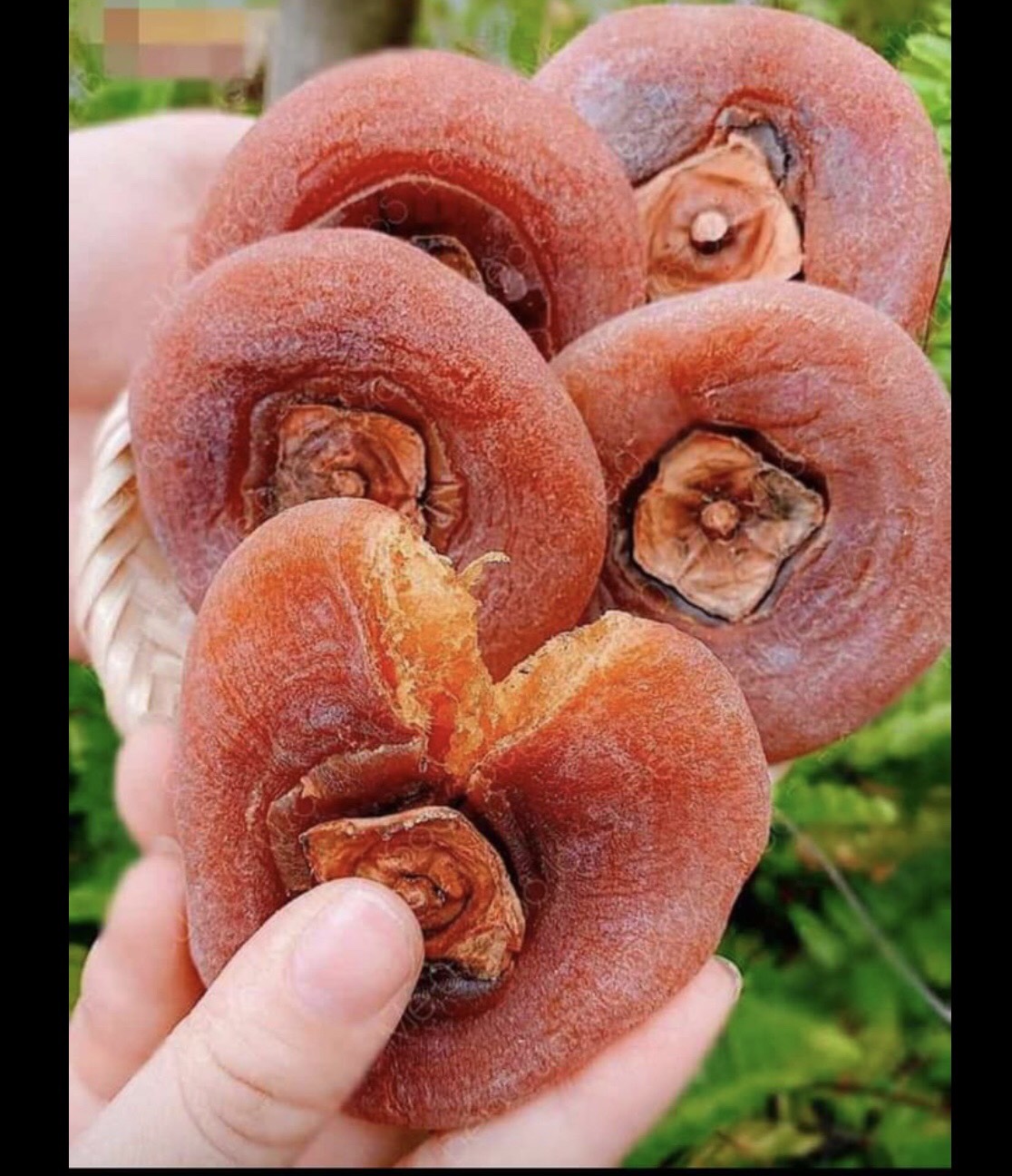 500gr HỒNG DẺO ĐÀ LẠT