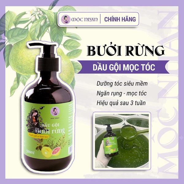 Dầu gội bưởi rừng giúp mọc tóc