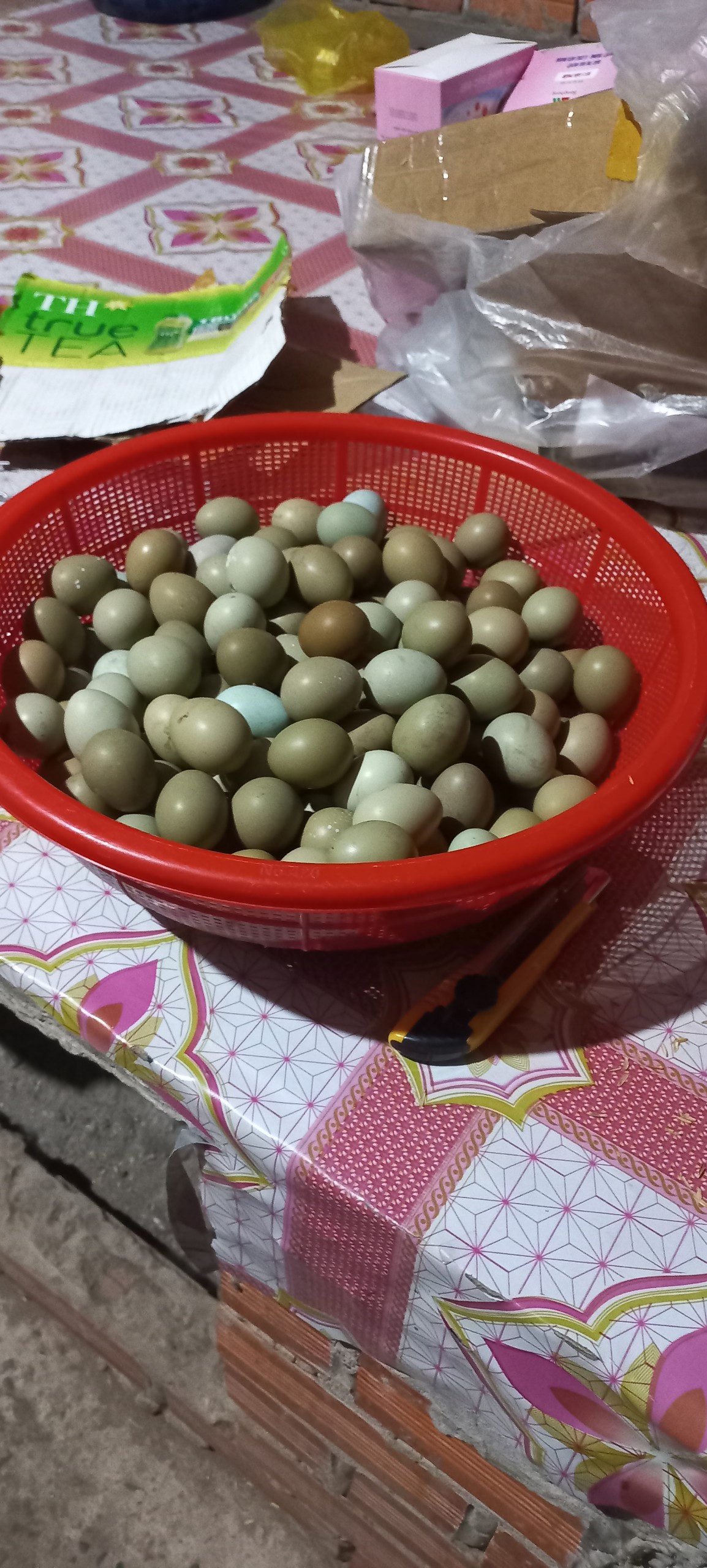 Trứng chim Trĩ giống combo 20 quả (Tỉ lệ có cồ cao)