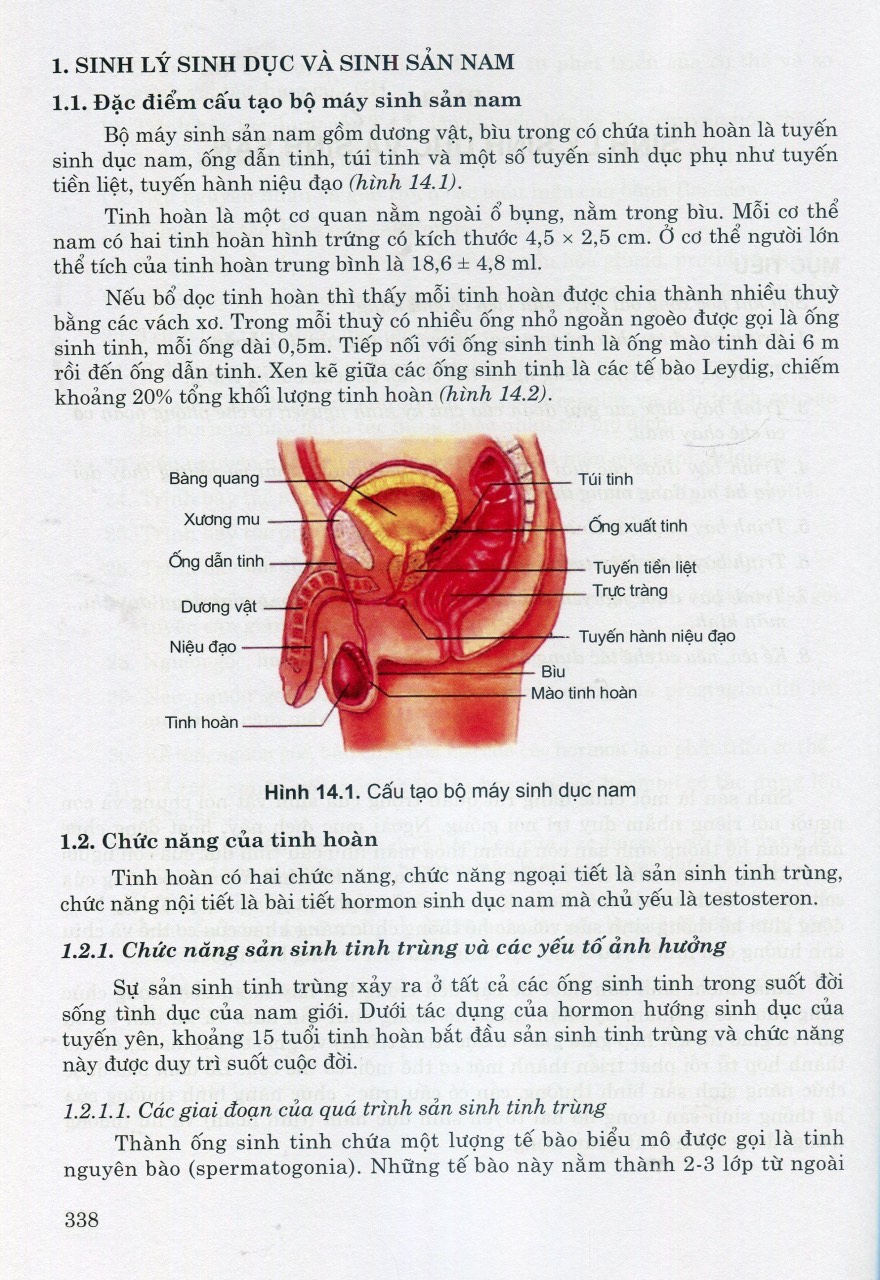 Sách - Sinh lý học (tái bản 2023)
