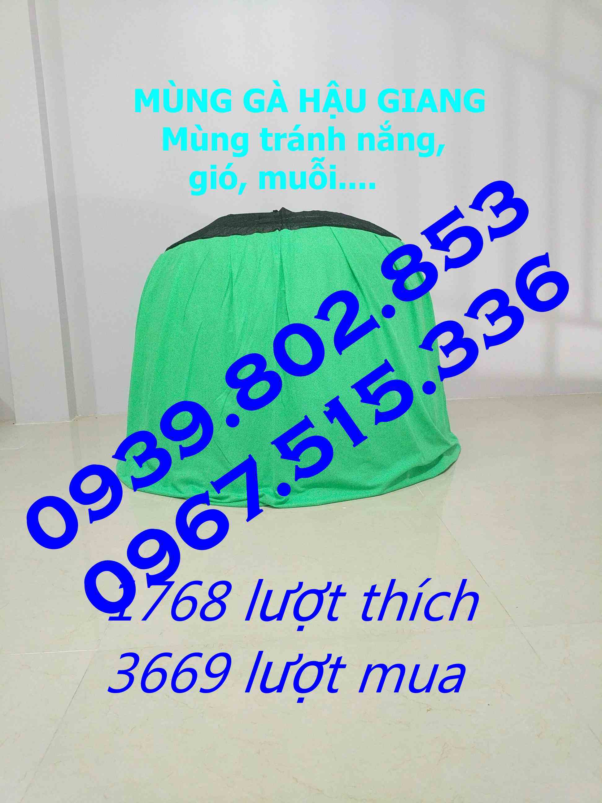 mùng trùm bội gà tre 90cm